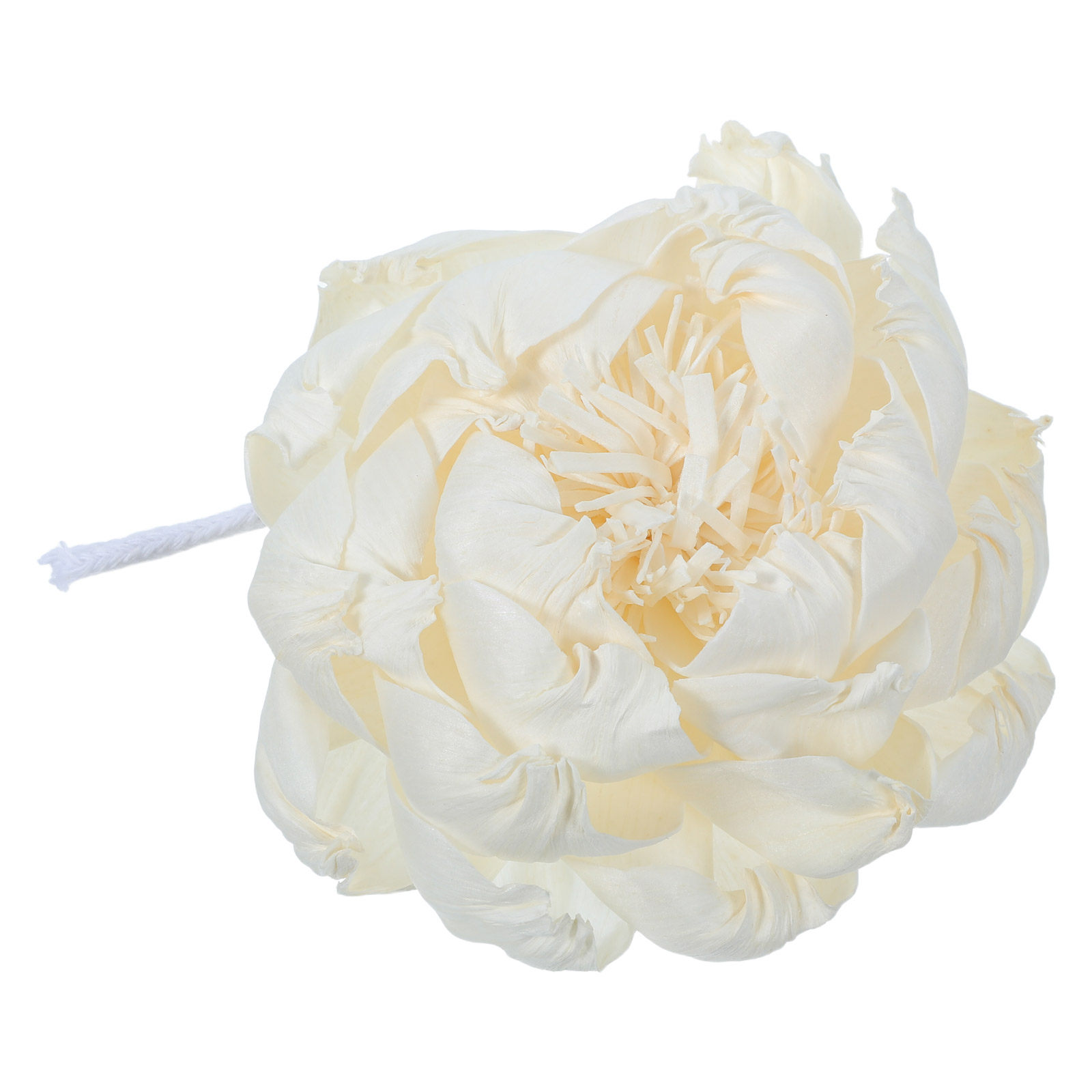 Difusor de Aroma con Cabeza de - Fragrance Home Decor reseña y precio