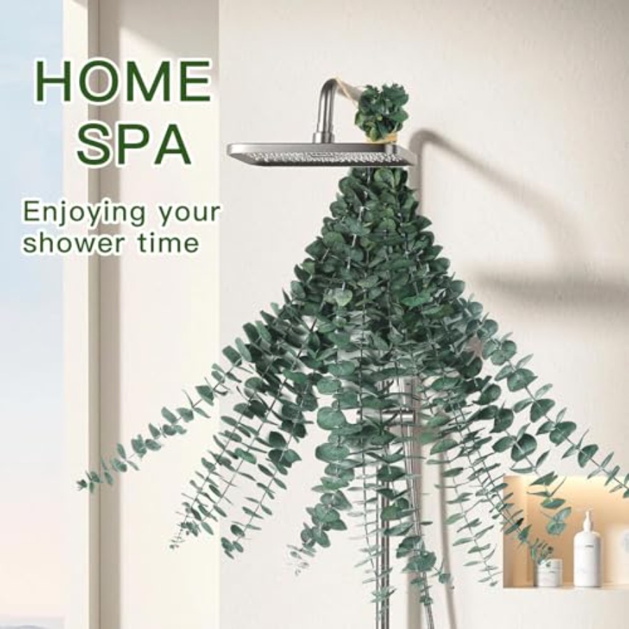 Tallos de Eucalipto Secos para - Home Fragrance Eucalyptus reseña y precio