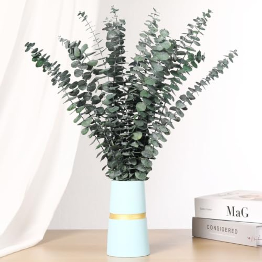 Tallos de Eucalipto Secos para - Home Fragrance Eucalyptus reseña y precio