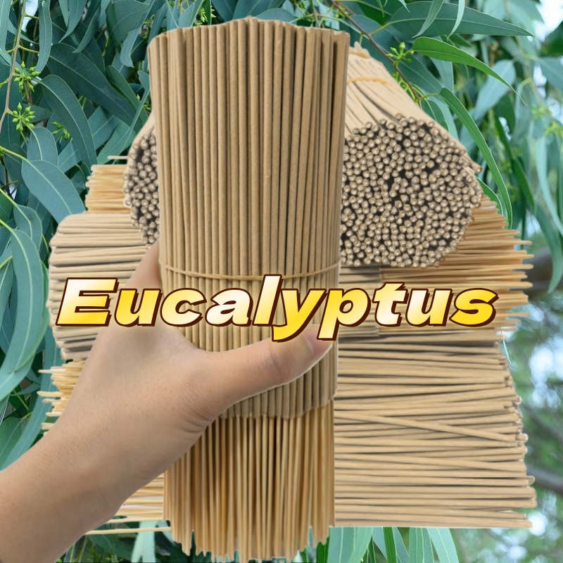 Fragancia de eucalipto de alta - Home Fragrance Eucalyptus reseña y precio
