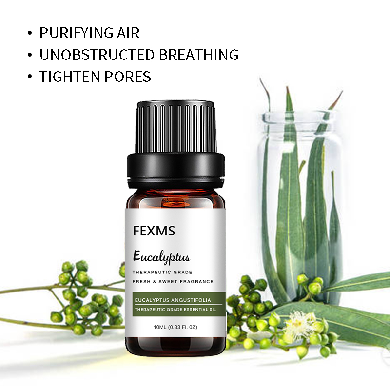 Aceite Esencial de Eucalipto ( - Home Fragrance Eucalyptus reseña y precio