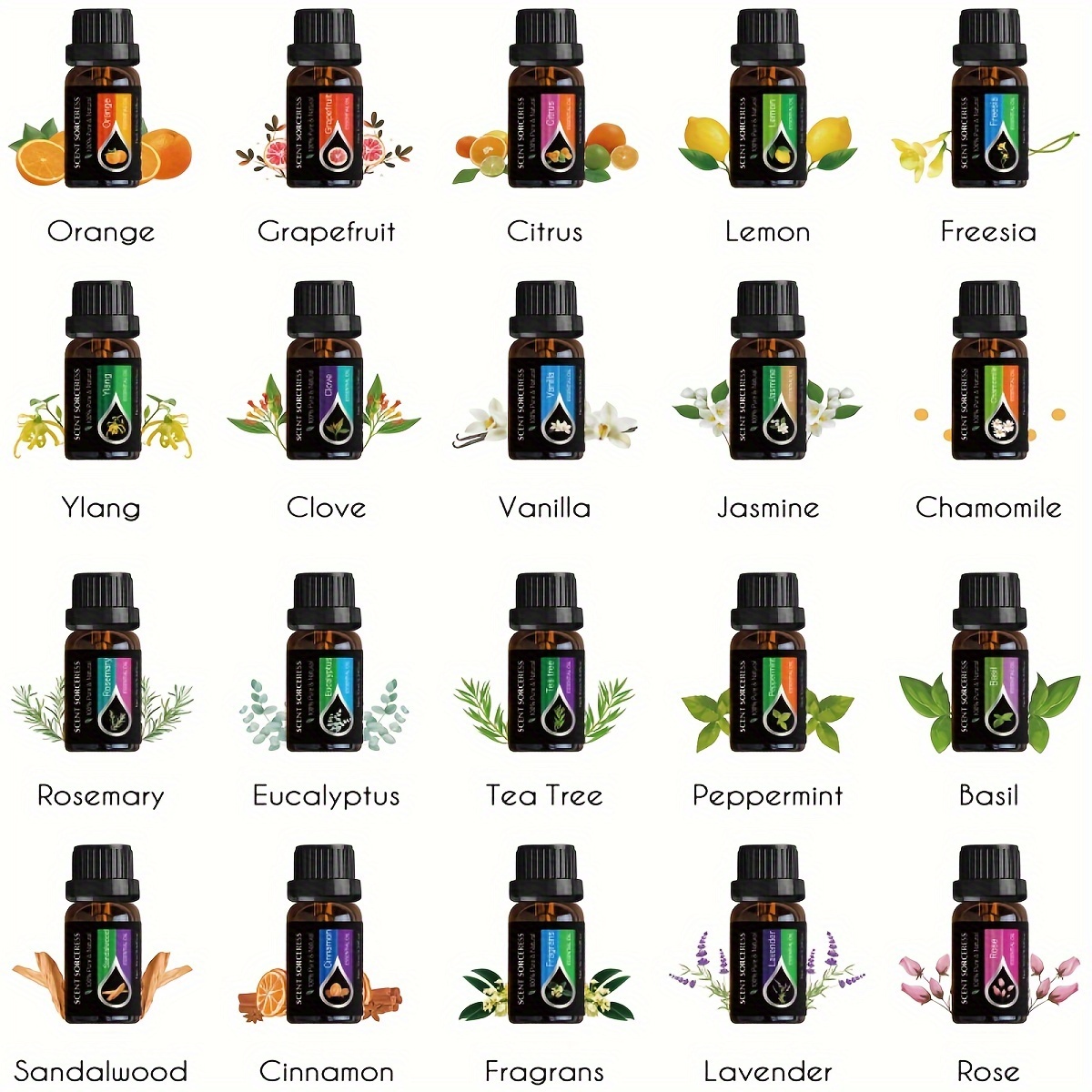 20 unids/set de aceites esenci - Home Fragrance Eucalyptus reseña y precio