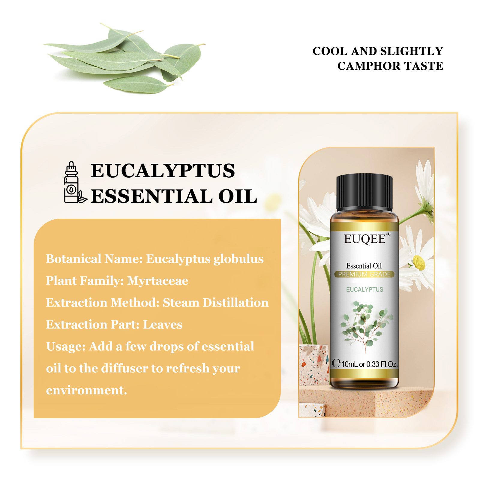 EUQEE 10ML aceites esenciales  - Home Fragrance Eucalyptus reseña y precio
